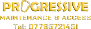 Progressive Access logo